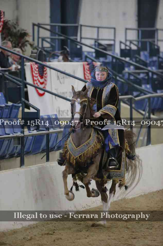 Proof Number 15R14_09047