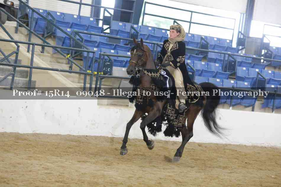 Proof Number 15R14_09048