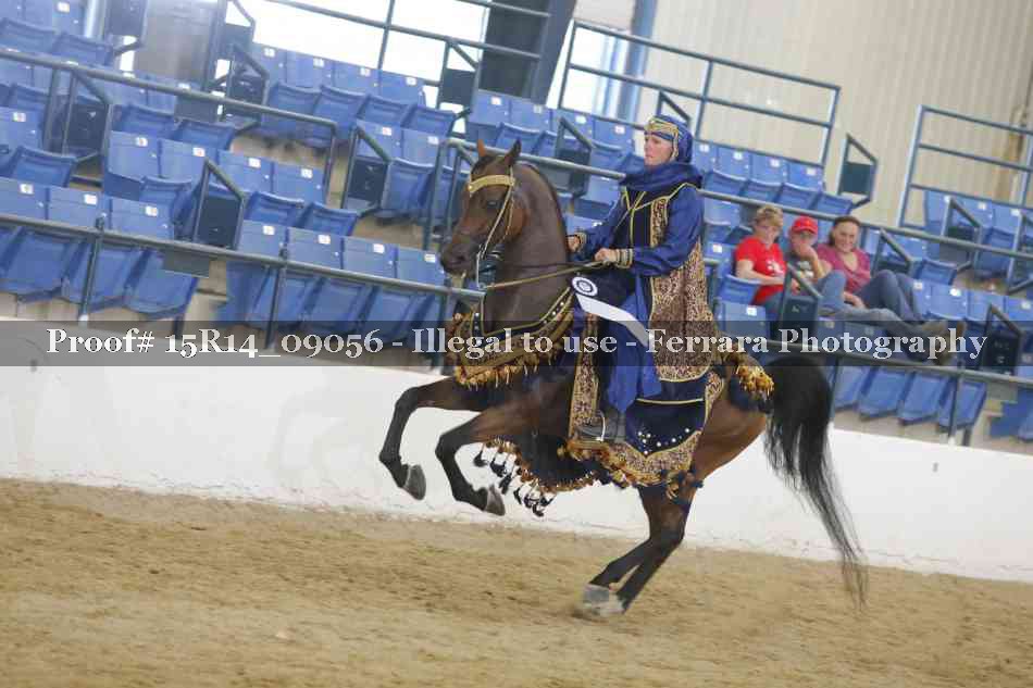 Proof Number 15R14_09056