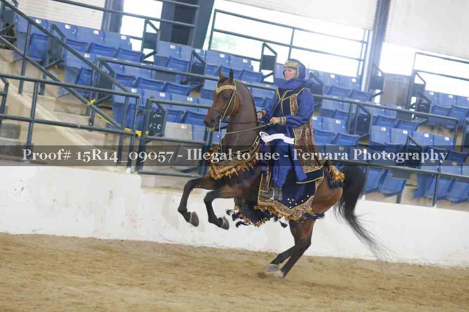 Proof Number 15R14_09057