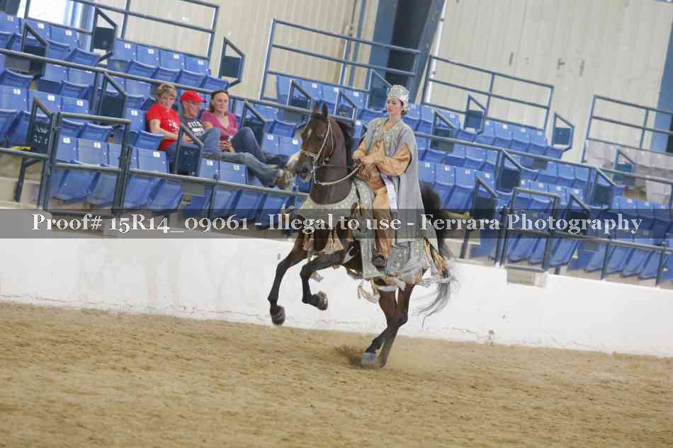 Proof Number 15R14_09061