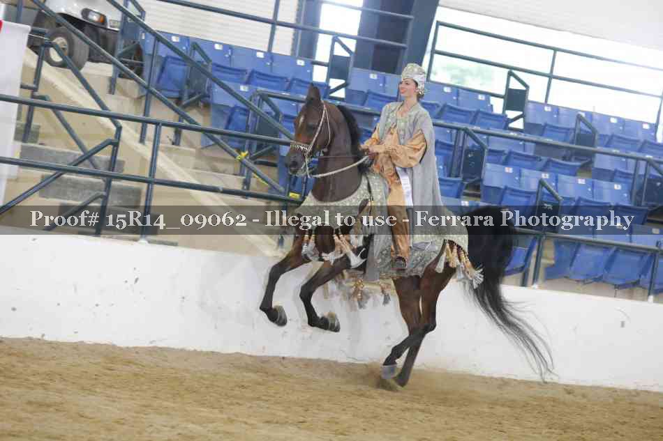 Proof Number 15R14_09062