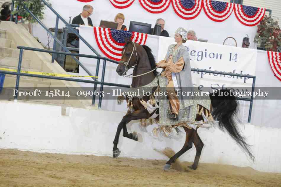 Proof Number 15R14_09063
