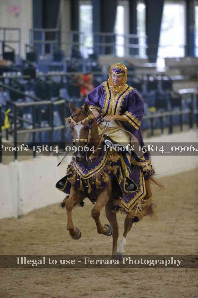 Proof Number 15R14_09064
