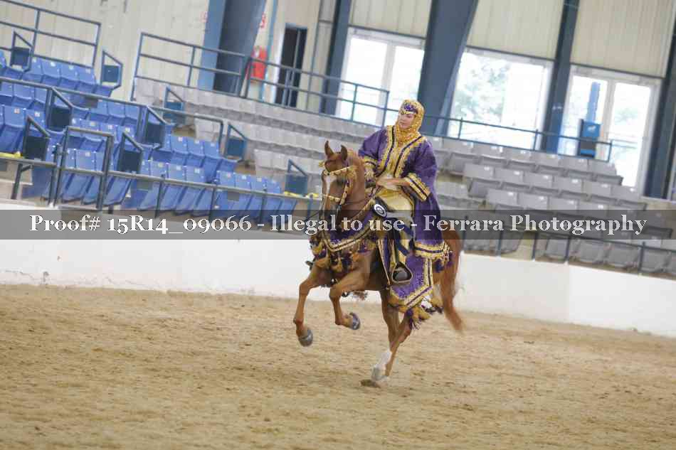 Proof Number 15R14_09066