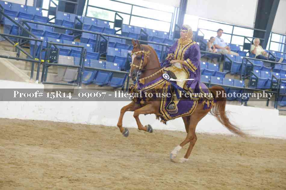 Proof Number 15R14_09067