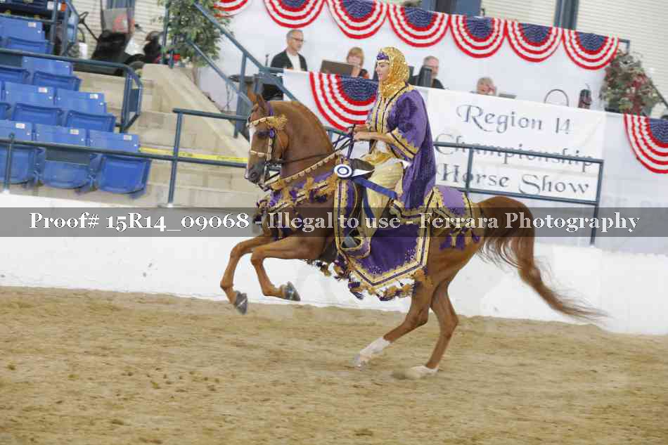 Proof Number 15R14_09068