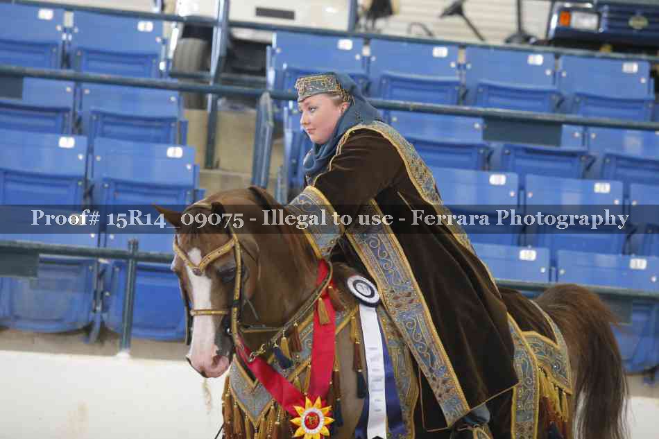 Proof Number 15R14_09075