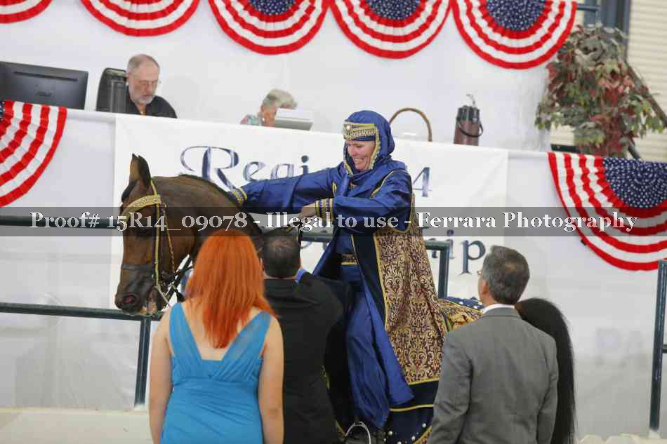 Proof Number 15R14_09078
