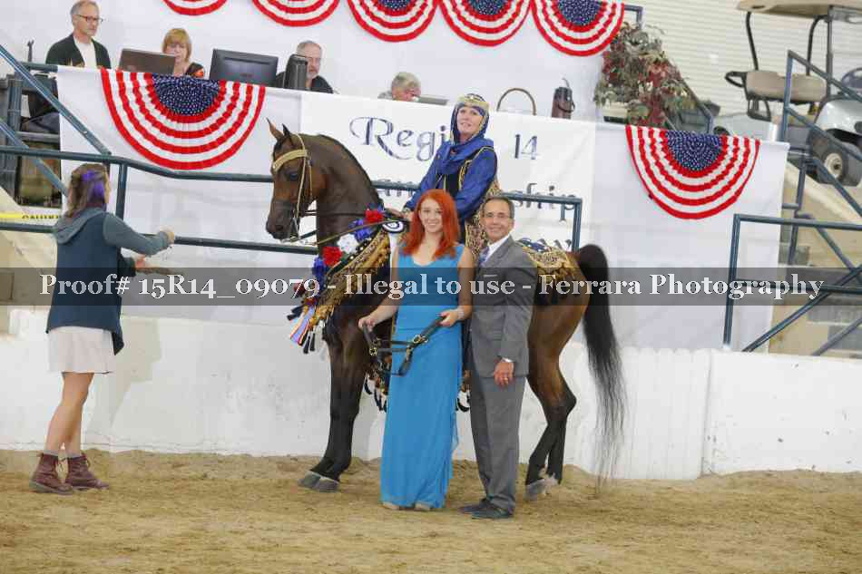 Proof Number 15R14_09079