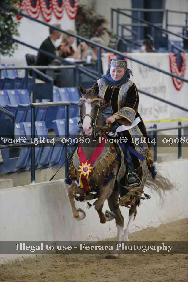 Proof Number 15R14_09080