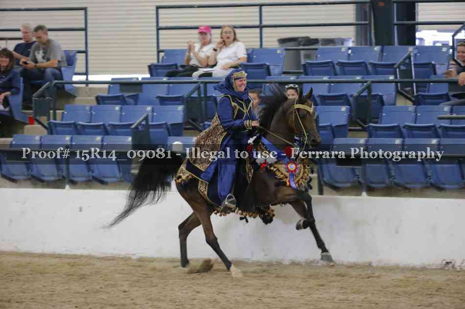 Proof Number 15R14_09081