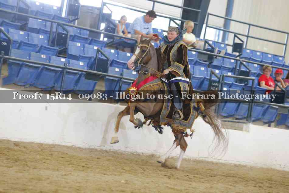 Proof Number 15R14_09083
