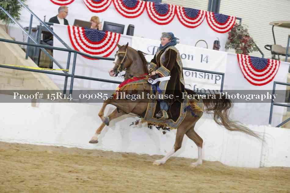 Proof Number 15R14_09085