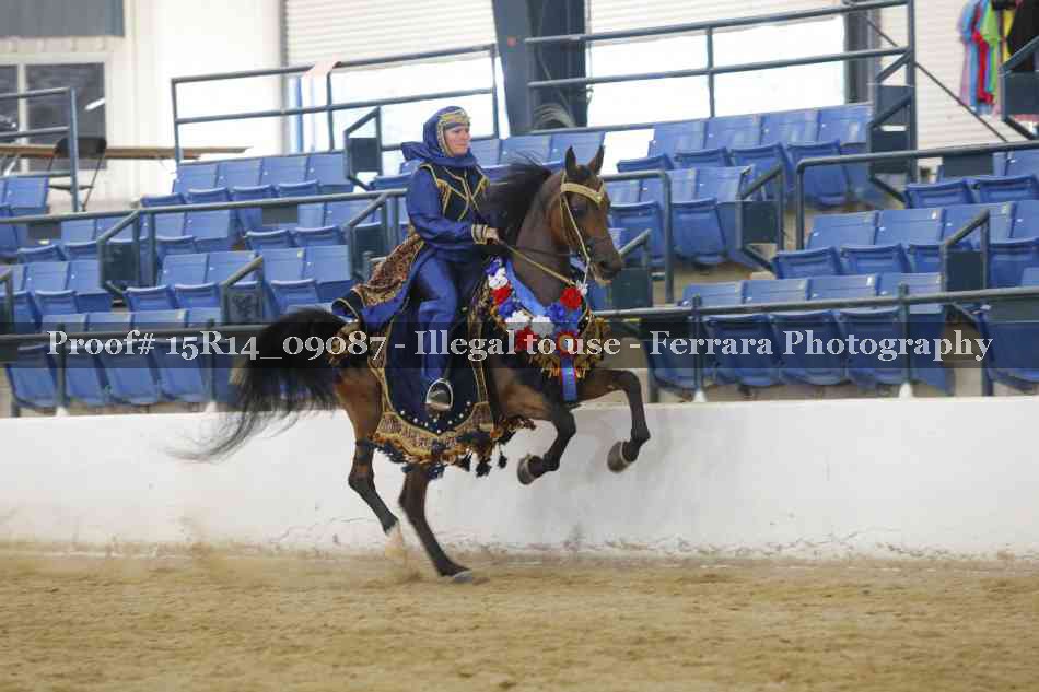 Proof Number 15R14_09087