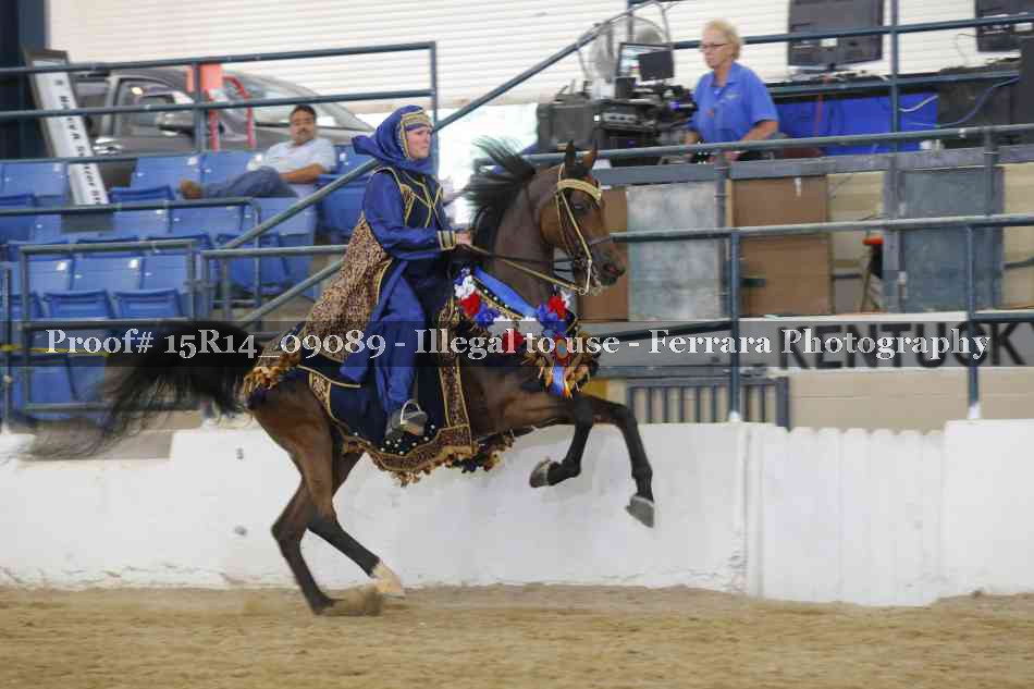 Proof Number 15R14_09089