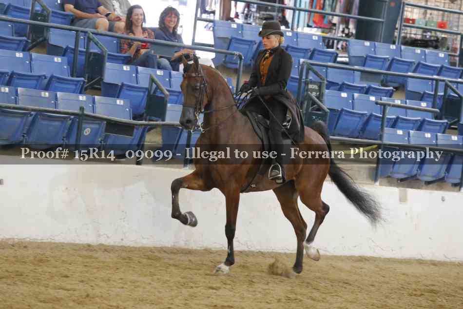 Proof Number 15R14_09099