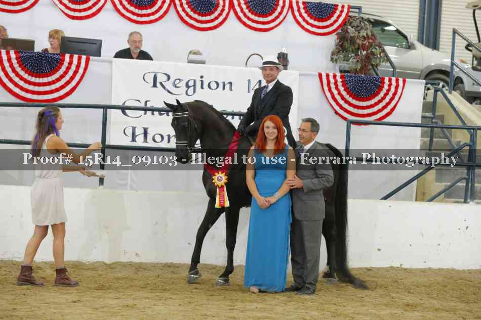 Proof Number 15R14_09103