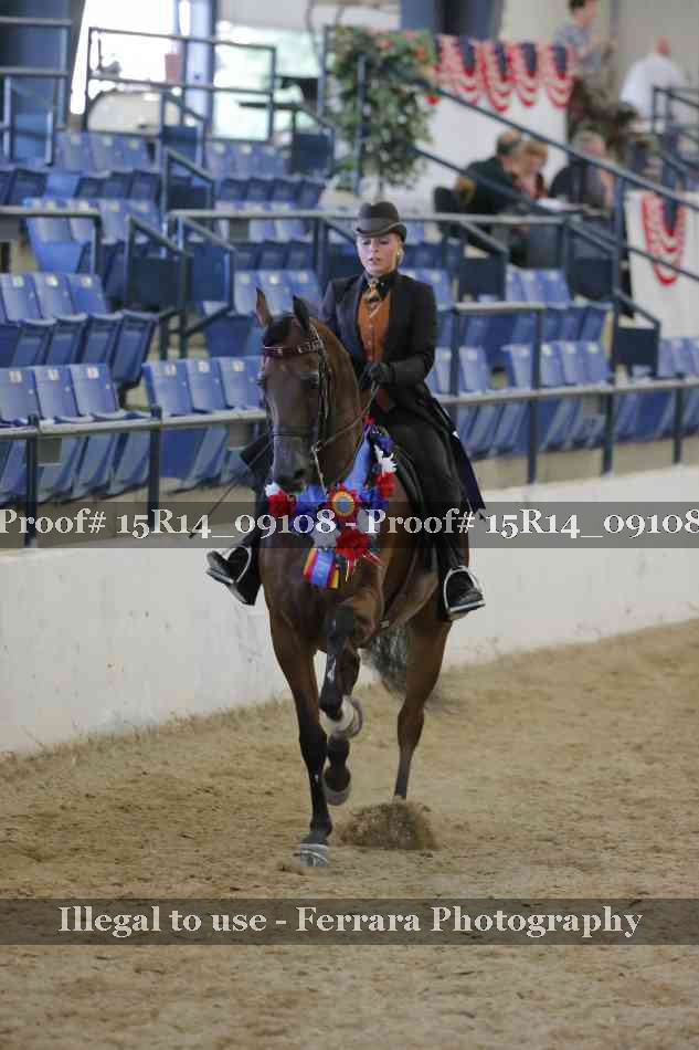 Proof Number 15R14_09108