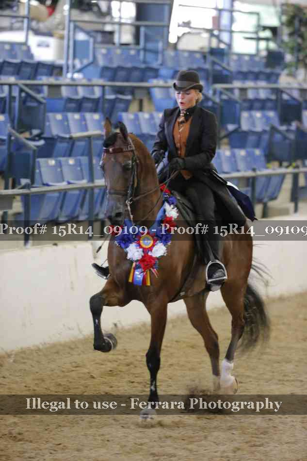 Proof Number 15R14_09109