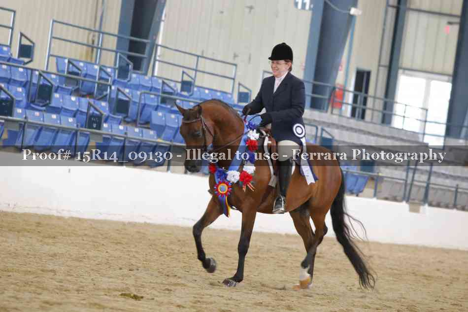 Proof Number 15R14_09130