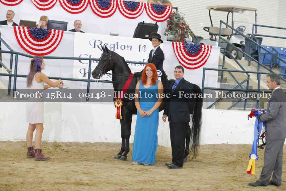 Proof Number 15R14_09148