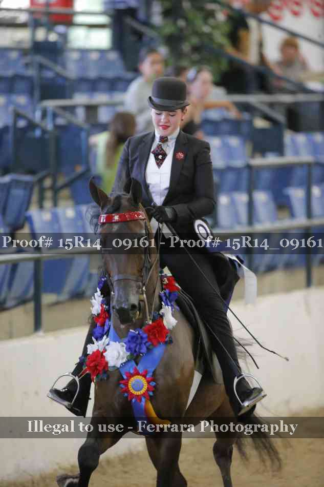 Proof Number 15R14_09161