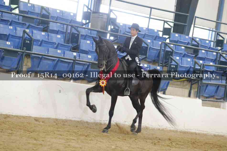 Proof Number 15R14_09162