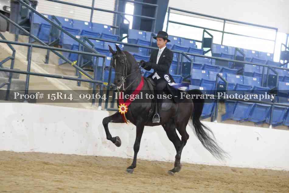 Proof Number 15R14_09164