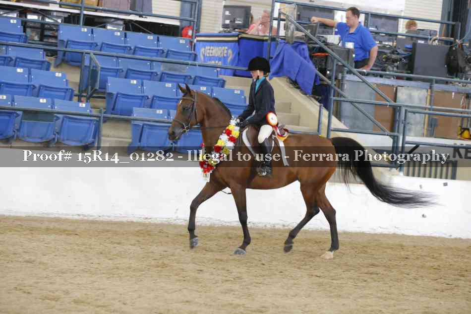 Proof Number 15R14_01282