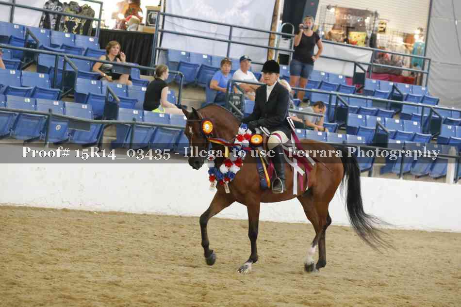 Proof Number 15R14_03435