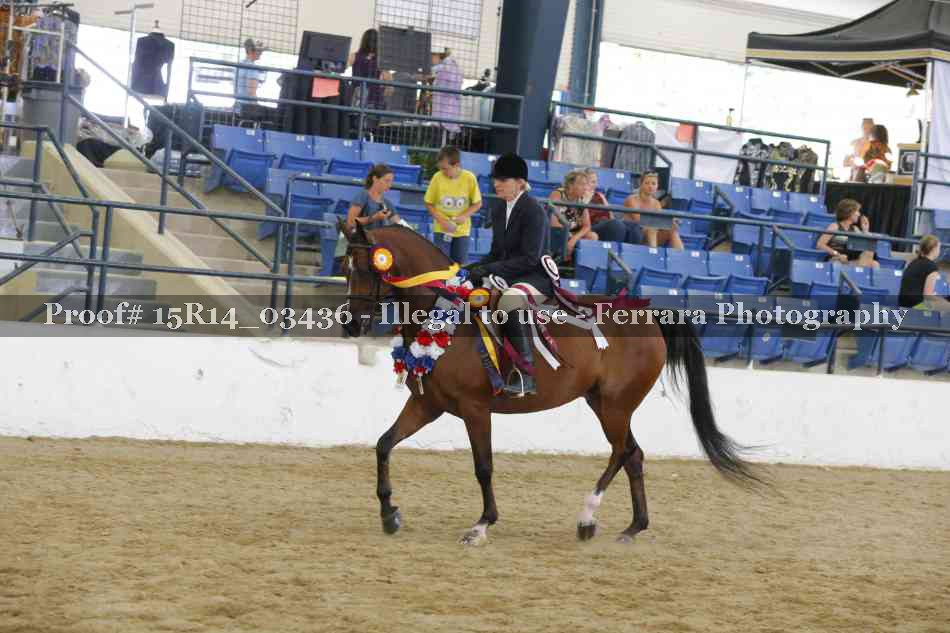 Proof Number 15R14_03436