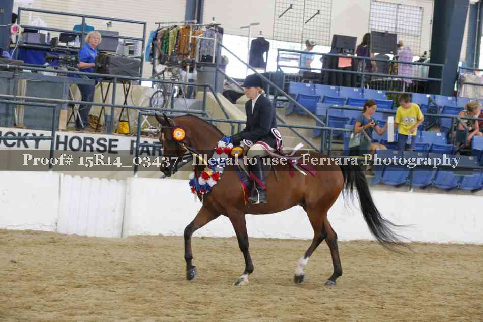 Proof Number 15R14_03437