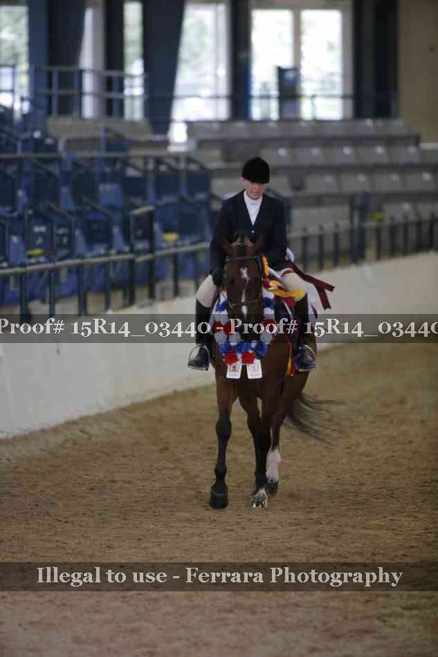 Proof Number 15R14_03440
