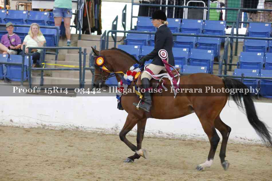 Proof Number 15R14_03442