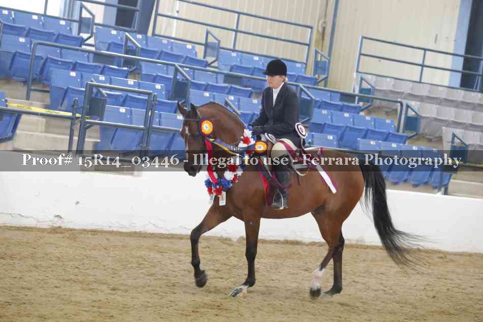 Proof Number 15R14_03446
