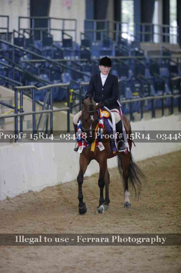 Proof Number 15R14_03448