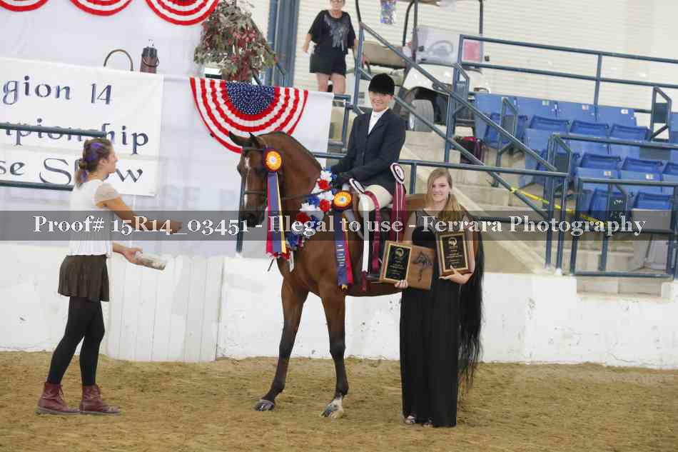 Proof Number 15R14_03451