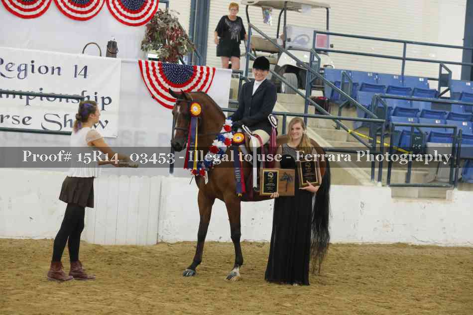 Proof Number 15R14_03453