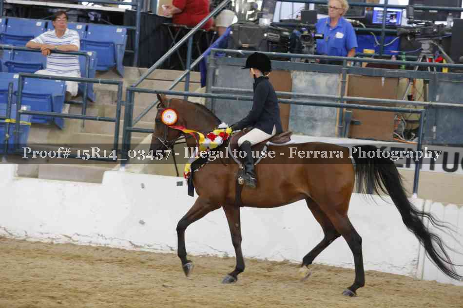 Proof Number 15R14_03457
