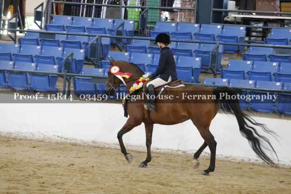 Proof Number 15R14_03459