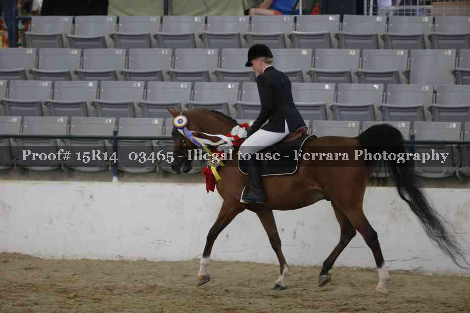 Proof Number 15R14_03465