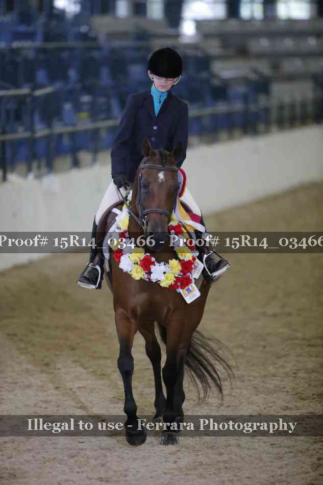 Proof Number 15R14_03466