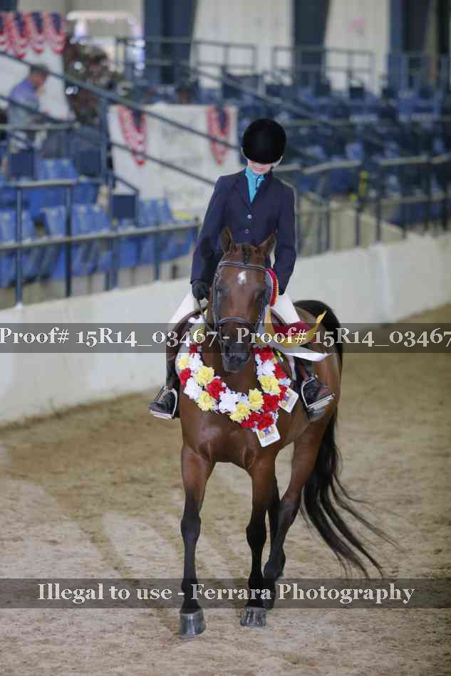 Proof Number 15R14_03467