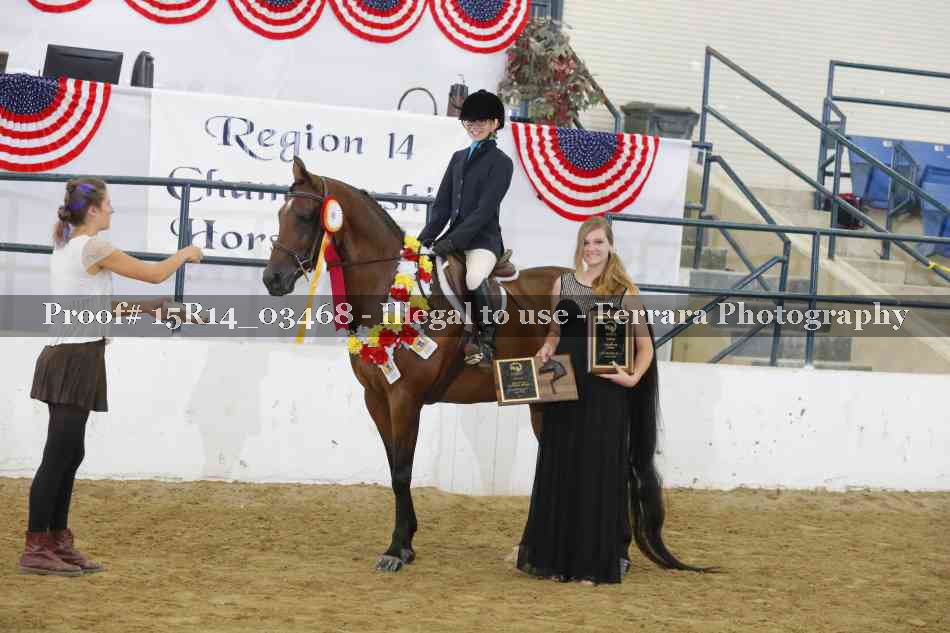 Proof Number 15R14_03468