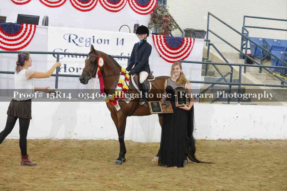 Proof Number 15R14_03469