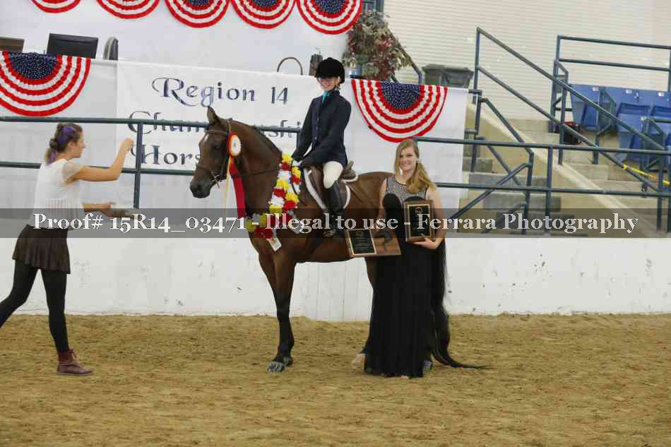 Proof Number 15R14_03471