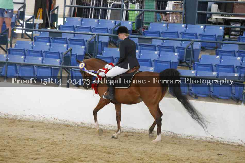 Proof Number 15R14_03473
