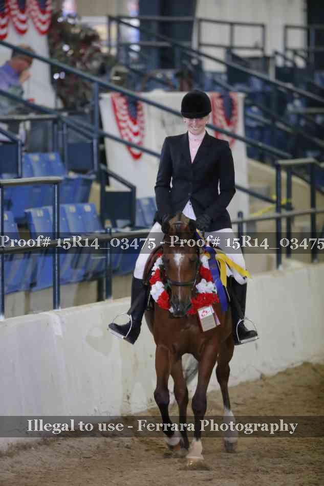 Proof Number 15R14_03475