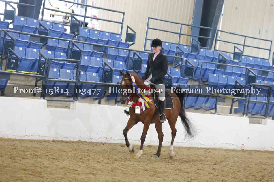 Proof Number 15R14_03477